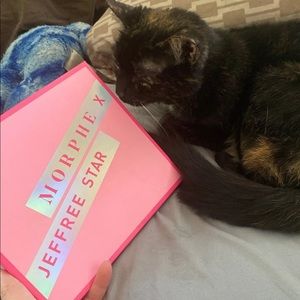 Morphe x Jeffree Star Pallet